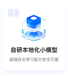 自研本地化小模型